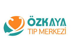 Çilek